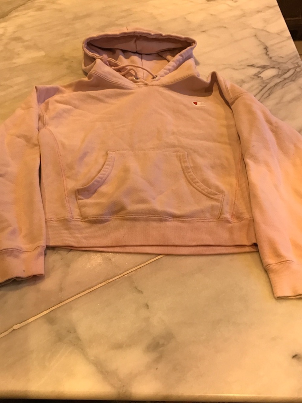 Champion Pink Kids Hoodie Sweatshirt